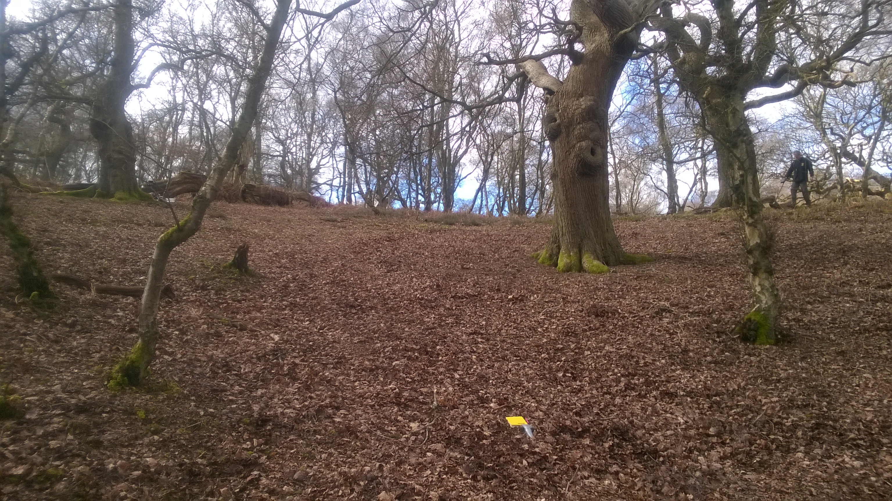 picture of a search site int he woods